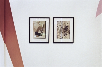 http://www.paulinawlostowska.com/files/gimgs/th-32_1_12Aob.jpg