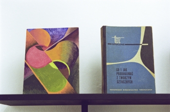 http://www.paulinawlostowska.com/files/gimgs/th-32_3_13Cob.jpg