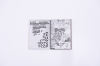 http://www.paulinawlostowska.com/files/gimgs/th-33_17.jpg