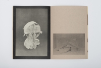 http://www.paulinawlostowska.com/files/gimgs/th-48_ep10_v2.jpg